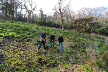 Old Park after planting March 2015 Old Park after planting March 2015