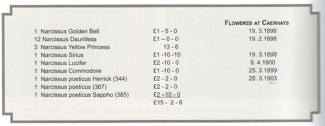 Daffodil bulb list Daffodil bulb list